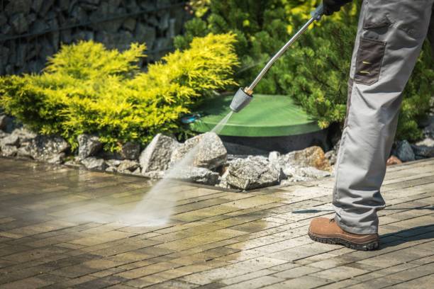 Best Roof Washing  in Covgton, IN
